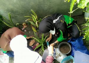 pmr1