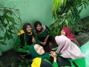 pmr7